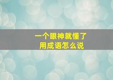 一个眼神就懂了 用成语怎么说